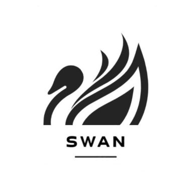 Swan - Car Detailing